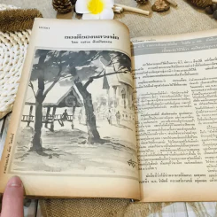 ฟ้าเมืองทอง ฉบับที่ 51 มิ.ย.2523 รูปที่ 17