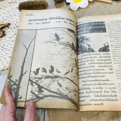 ฟ้าเมืองทอง ฉบับที่ 32 พ.ย.2521 รูปที่ 18