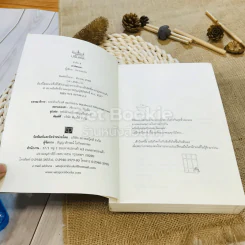 เงาซ่อนเงา - ปลายตะวัน รูปที่ 5
