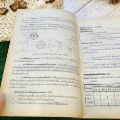 หนังสือเสริมประสบการณ์ กิจกรรมเพื่อพัฒนา กระบวนการทางวิทยาศาสตร์ ว204 รูปที่ 11