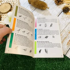 Pocket Guide to Birds of Southern Africa รูปที่ 7
