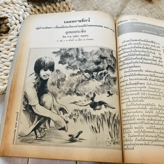 ฟ้าเมืองทอง ฉบับที่ 55 ต.ค.2523 รูปที่ 28