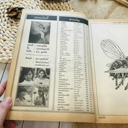 ฟ้าเมืองทอง ฉบับที่ 69 ธ.ค.2524 รูปที่ 7