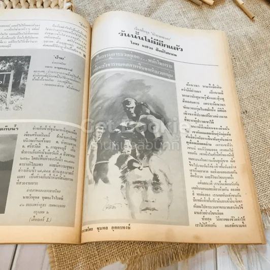 ฟ้าเมืองทอง ฉบับที่ 69 ธ.ค.2524 รูปที่ 31