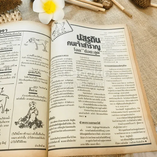 ฟ้าเมืองทอง ฉบับที่ 94 ม.ค.2527 รูปที่ 24