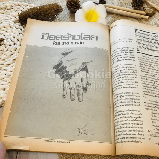 ฟ้าเมืองทอง ฉบับที่ 95 ก.พ.2527 รูปที่ 28