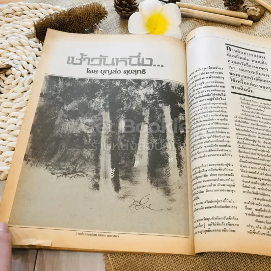ฟ้าเมืองทอง ฉบับที่ 95 ก.พ.2527 รูปที่ 29