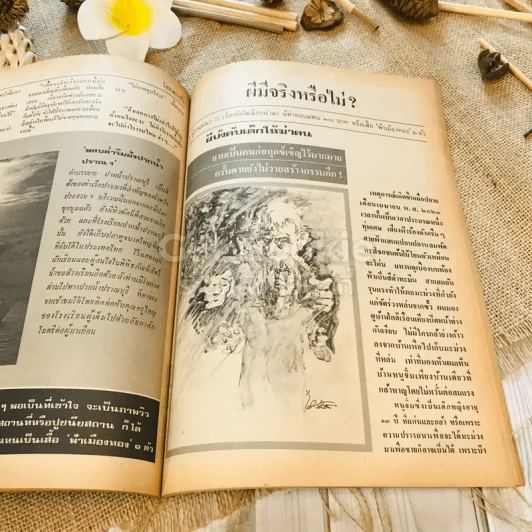 ฟ้าเมืองทอง ฉบับที่ 64 ก.ค.2524 รูปที่ 28