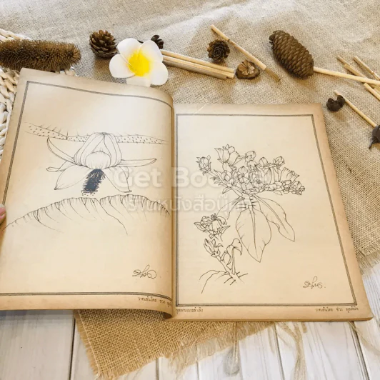 ฟ้าเมืองทอง ฉบับที่ 58 ม.ค.2524 รูปที่ 8