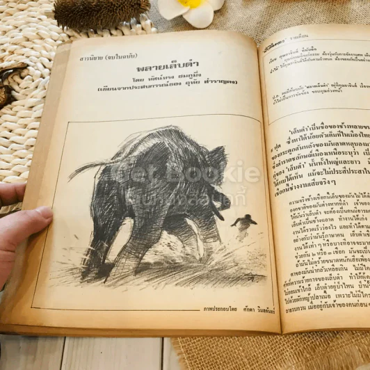 ฟ้าเมืองทอง ฉบับที่ 14 พ.ค.2520 รูปที่ 33