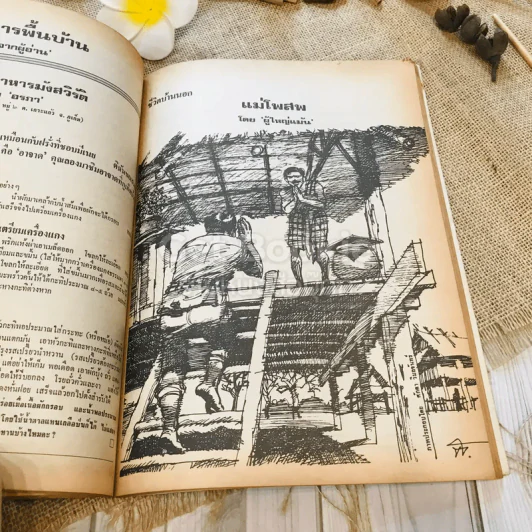 ฟ้าเมืองทอง ฉบับที่ 25 เม.ย.2521 รูปที่ 22