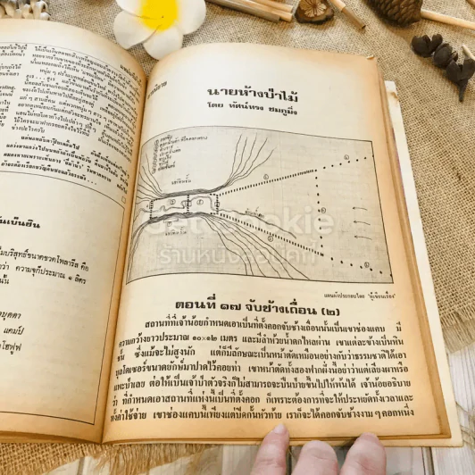 ฟ้าเมืองทอง ฉบับที่ 25 เม.ย.2521 รูปที่ 30