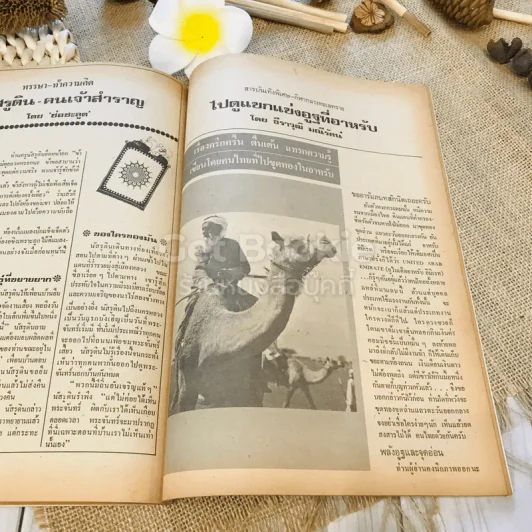 ฟ้าเมืองทอง ฉบับที่ 67 ต.ค.2524 รูปที่ 28