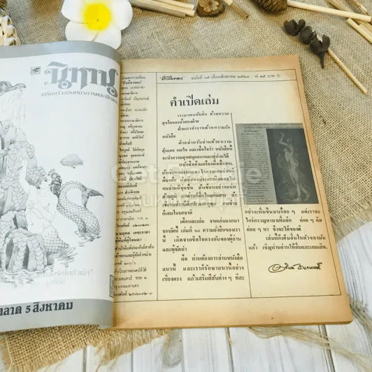 ฟ้าเมืองทอง ฉบับที่ 65 ส.ค.2524 รูปที่ 5