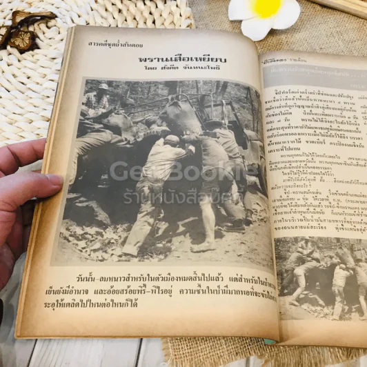 ฟ้าเมืองทอง ฉบับที่ 60 มี.ค.2524 รูปที่ 15
