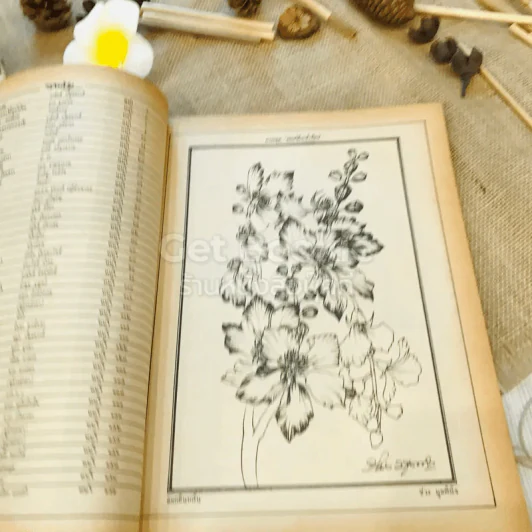 ฟ้าเมืองทอง ฉบับที่ 49 เม.ย.2523 รูปที่ 7