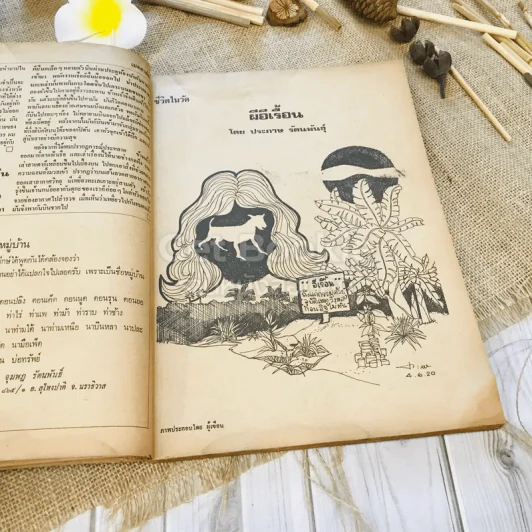 ฟ้าเมืองทอง ฉบับที่ 16 ก.ค.2520 รูปที่ 11