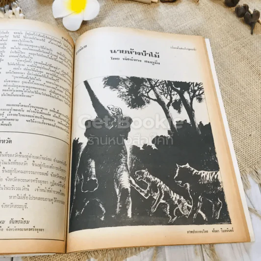 ฟ้าเมืองทอง ฉบับที่ 11 ก.พ.2520 รูปที่ 28