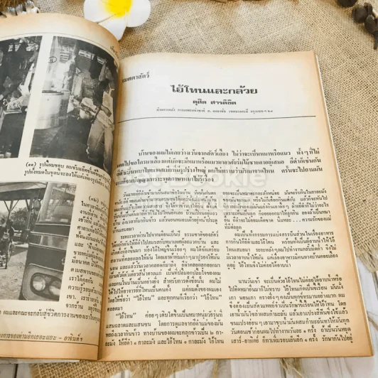 ฟ้าเมืองทอง ฉบับที่ 11 ก.พ.2520 รูปที่ 22