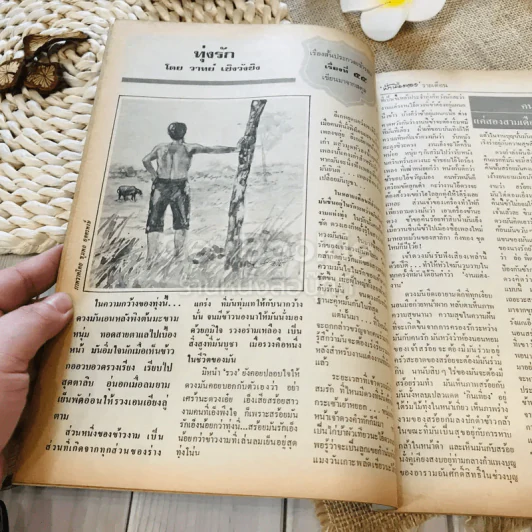 ฟ้าเมืองทอง ฉบับที่ 71 ก.พ.2525 รูปที่ 15