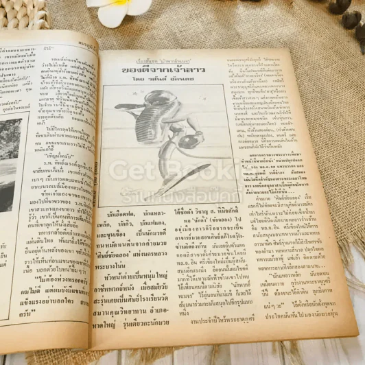 ฟ้าเมืองทอง ฉบับที่ 71 ก.พ.2525 รูปที่ 11