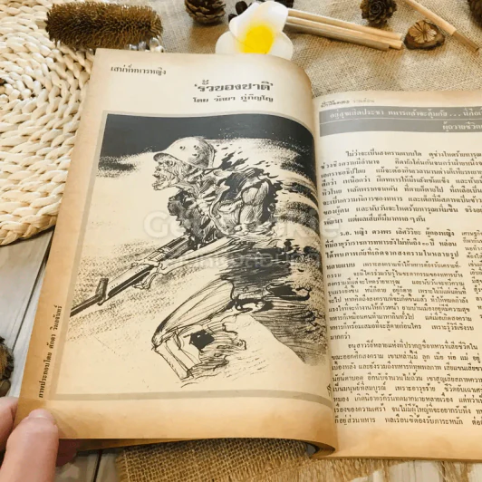 ฟ้าเมืองทอง ฉบับที่ 56 พ.ย.2523 รูปที่ 19