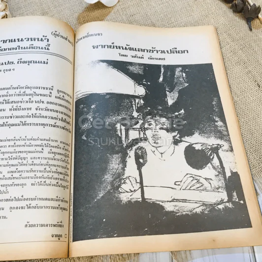 ฟ้าเมืองทอง ฉบับที่ 36 มี.ค.2522 รูปที่ 28