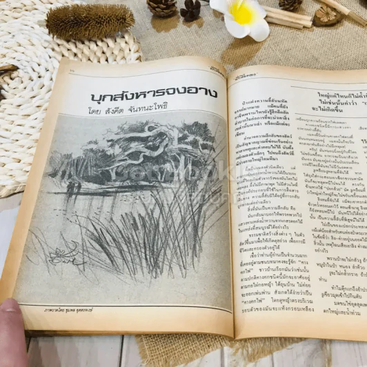 ฟ้าเมืองทอง พ.ย.2525 รูปที่ 20
