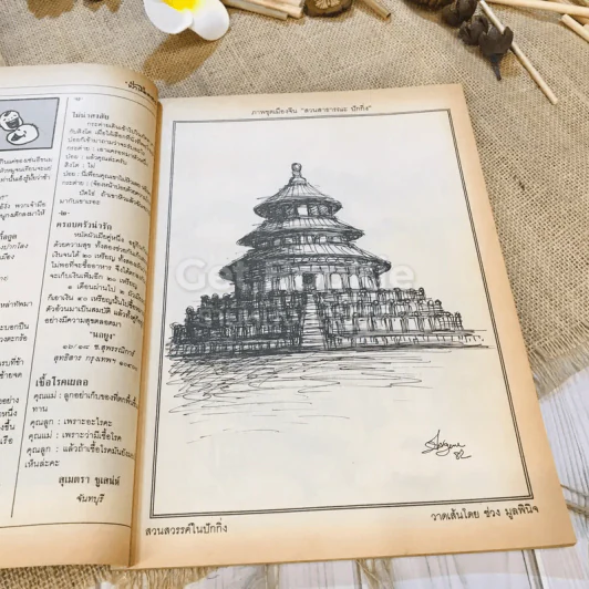ฟ้าเมืองทอง พ.ย.2525 รูปที่ 6