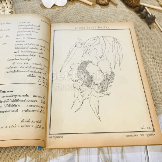 ฟ้าเมืองทอง ฉบับที่ 38 พ.ค.2522 รูปที่ 8