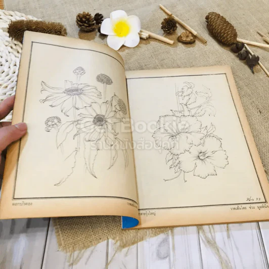 ฟ้าเมืองทอง ฉบับที่ 38 พ.ค.2522 รูปที่ 9