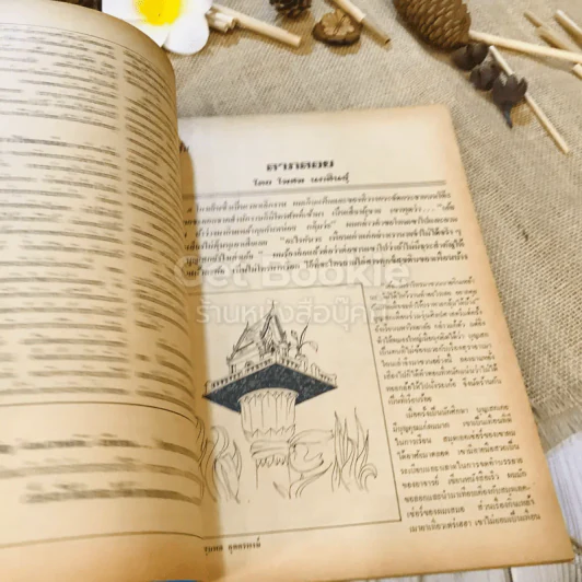 ฟ้าเมืองทอง ฉบับที่ 38 พ.ค.2522 รูปที่ 11