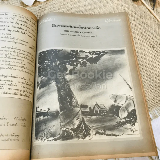 ฟ้าเมืองทอง ฉบับที่ 50 พ.ค.2523 รูปที่ 21