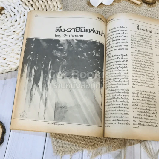 ฟ้าเมืองทอง ฉบับที่ 82 ม.ค.2526 รูปที่ 28