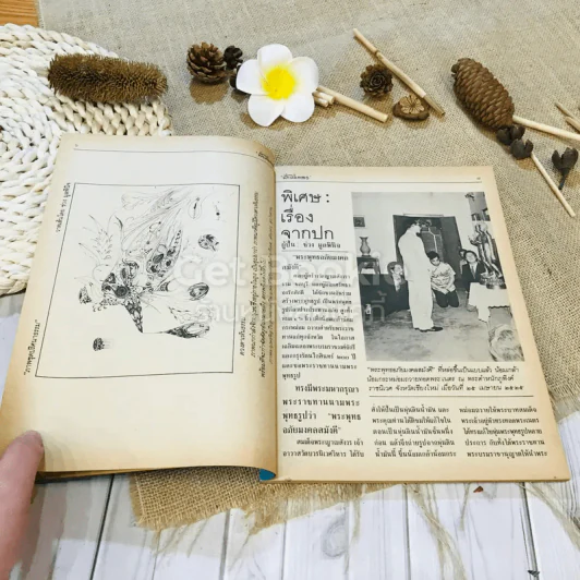 ฟ้าเมืองทอง ฉบับที่ 82 ม.ค.2526 รูปที่ 9