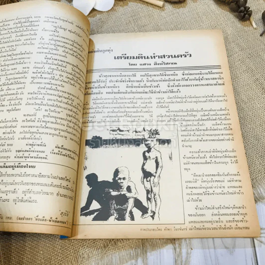ฟ้าเมืองทอง ฉบับที่ 32 พ.ย.2521 รูปที่ 16