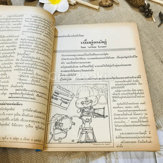 ฟ้าเมืองทอง ฉบับที่ 32 พ.ย.2521 รูปที่ 13