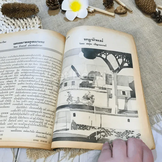 ฟ้าเมืองทอง ฉบับที่ 32 พ.ย.2521 รูปที่ 28