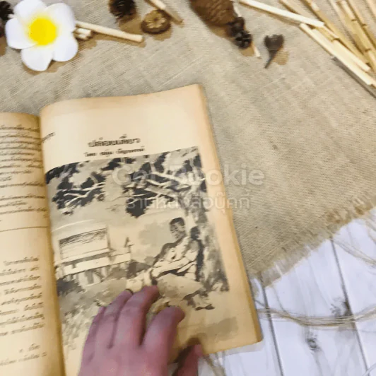 ฟ้าเมืองทอง ฉบับที่ 34 ม.ค.2522 รูปที่ 27