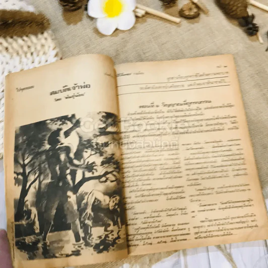 ฟ้าเมืองทอง ฉบับที่ 34 ม.ค.2522 รูปที่ 14