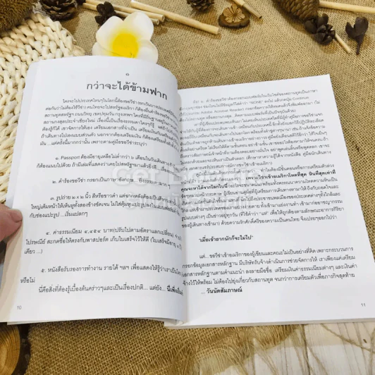 บันทึก: จากฟ้าคนละฟาก รูปที่ 8