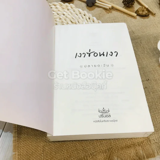 เงาซ่อนเงา - ปลายตะวัน รูปที่ 4