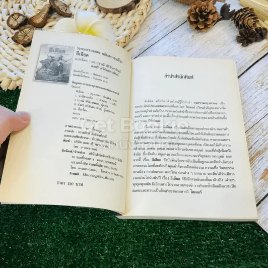 อีเลียด จาก Iliad ต้นฉบับภาษาฝรั่งเศสของ Leconte de Lisle รูปที่ 5