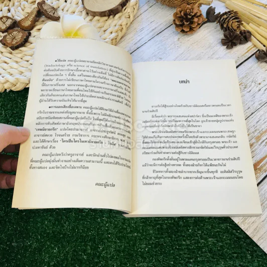 อีเลียด จาก Iliad ต้นฉบับภาษาฝรั่งเศสของ Leconte de Lisle รูปที่ 7