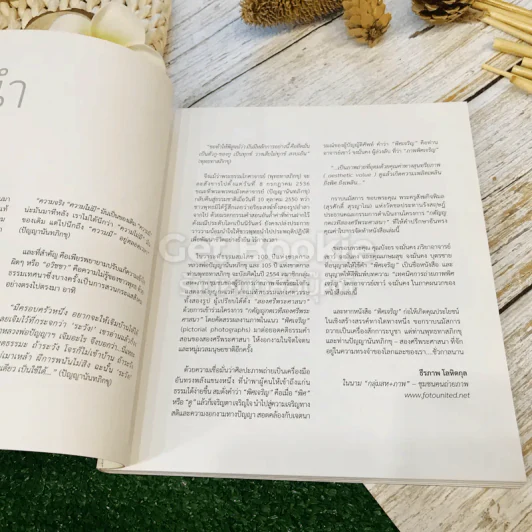 พิศเจริญ หนังสือภาพและอมตธรรมแห่งสองศรีพระศาสนา รูปที่ 11