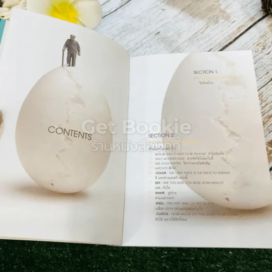 EGG ไข่ สิ่งมหัศจรรย์ของโลก ทำไมต้องไข่ รูปที่ 6