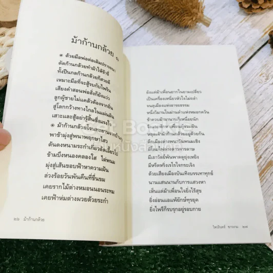 ม้าก้านกล้วย ควบม้าชีวิตฝันแรมนิราศชีวิตจริง รูปที่ 17