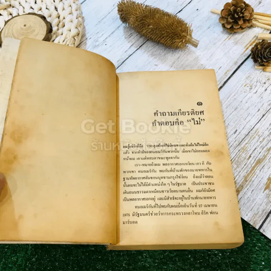 สิ้นชาติ บันทึกของเหงียน เกา กี รูปที่ 9