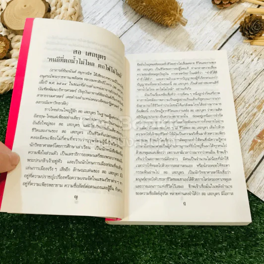 ไปนอกปีที่หนึ่ง - สอ เสถบุตร รูปที่ 11