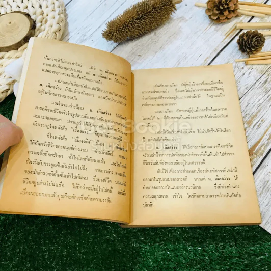 สารคดีพิเศษชุด 1 เรื่องจริง รูปที่ 7